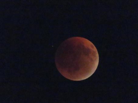 ブラッドムーン ブラッドムーン 月,赤い月,ブラッドムーンの写真素材