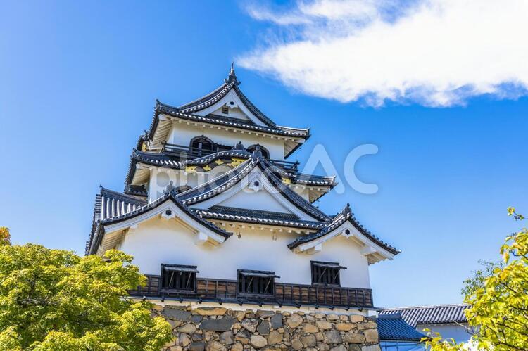 彦根城 滋賀県 観光地 彦根,彦根市,滋賀の写真素材