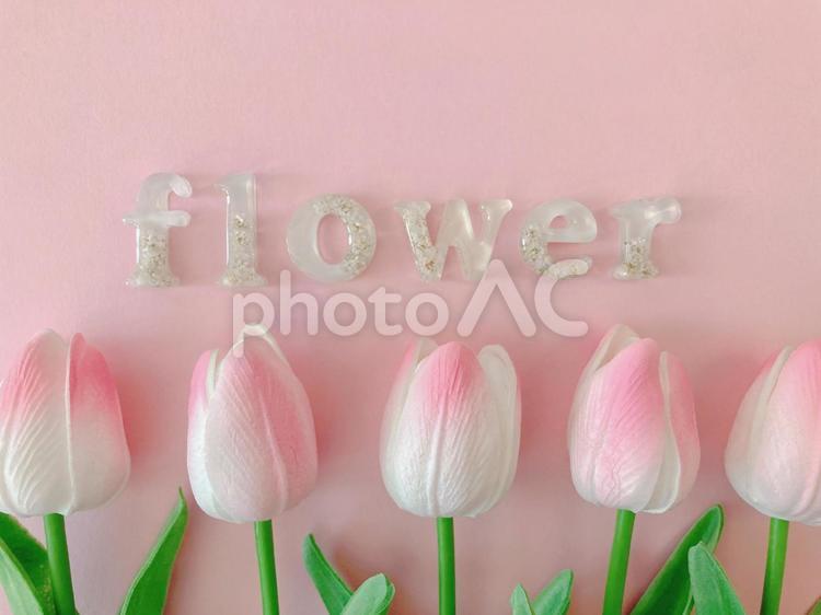 flowerの文字とピンクのチューリップ チューリップ,flower,ピンクの写真素材