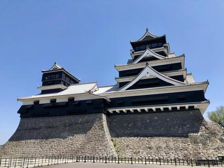 熊本城 熊本城,熊本,城郭の写真素材