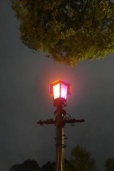 ライト ライト,あかり,外灯の写真素材