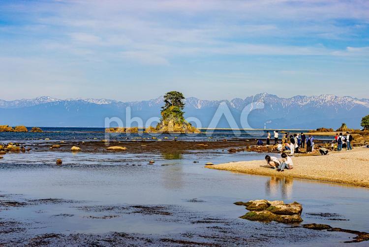 富山県　雨晴海岸から望む立山連峰 雨晴海岸,立山連峰,富山の写真素材