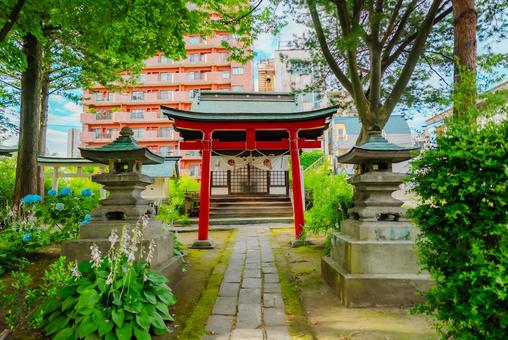 Photo, aomori, a shrine, zenchitori shrine, 