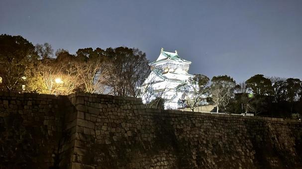 夜の大阪城公園2の写真