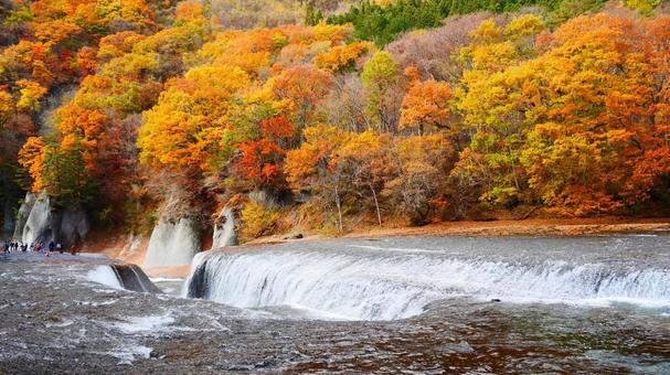 振り返ると吹割の滝 日本,自然,川の写真素材