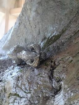 独孤 須磨寺,手水舎,手水の写真素材