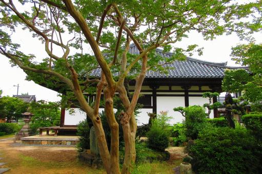 大阪府-孝恩寺-国宝-観音堂の写真