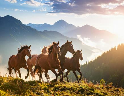 野生の馬 野生の馬の写真