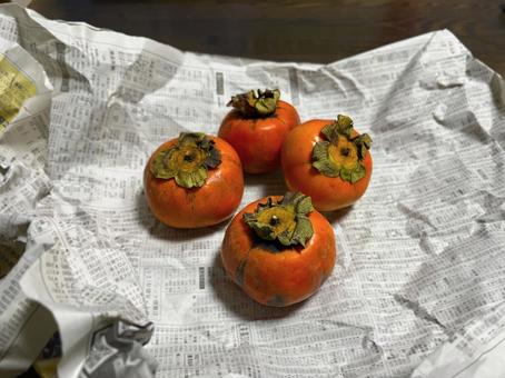 柿 柿,果物,フルーツの写真素材