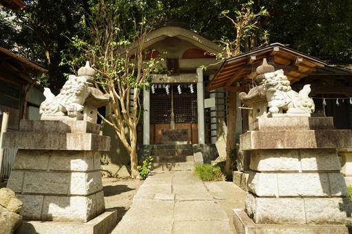 横浜市保土ヶ谷区にある外川神社 横浜市保土ヶ谷区にある外川神社 神社仏閣,神社,狛犬の写真素材