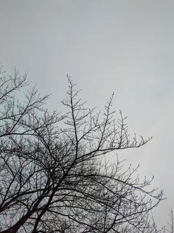 空 空の写真