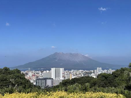 SAKURAZOMA SAKURAZOMAの写真