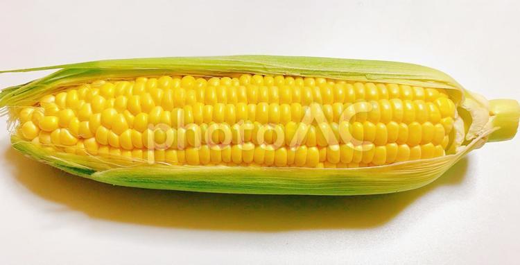 とうもろこし　穀物　夏野菜　イメージ　素材 とうもろこし,トウモロコシ,コーンの写真素材
