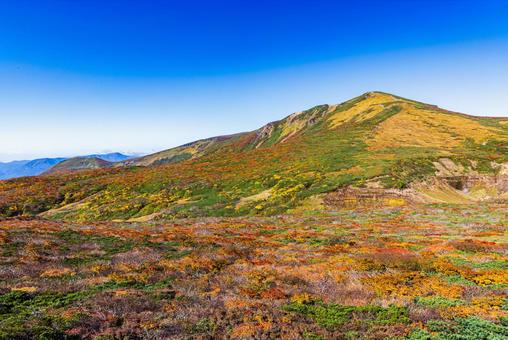 秋色に染まる 栗駒山の絶景 秋色に染まる 栗駒山の絶景 山,秋,紅葉の写真素材