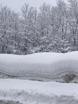 雪国 雪,積雪,青森の写真素材