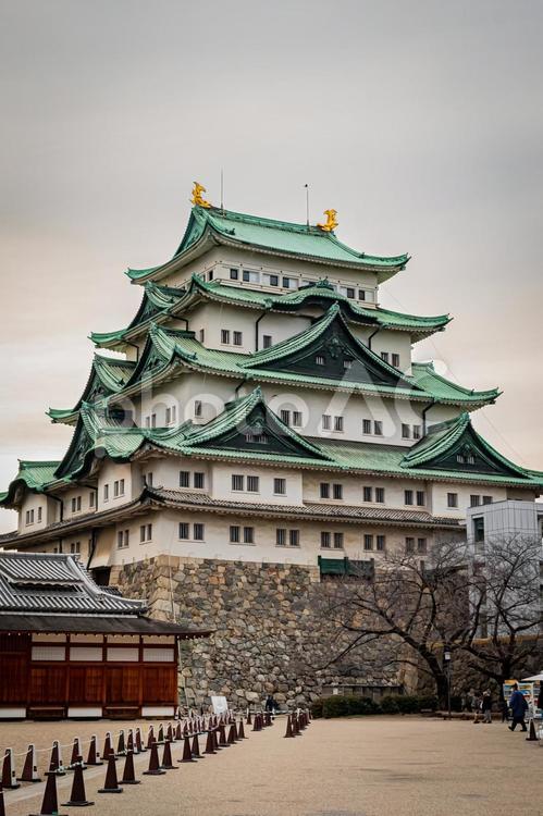 名古屋　名古屋城の風景 名古屋,愛知,愛知県の写真素材