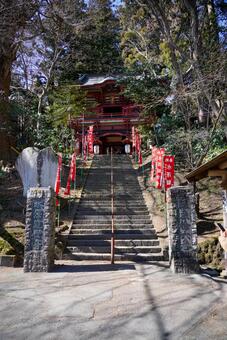 水澤観音へ続く石段と朱色の門 水澤観音,水澤寺,寺院の写真素材