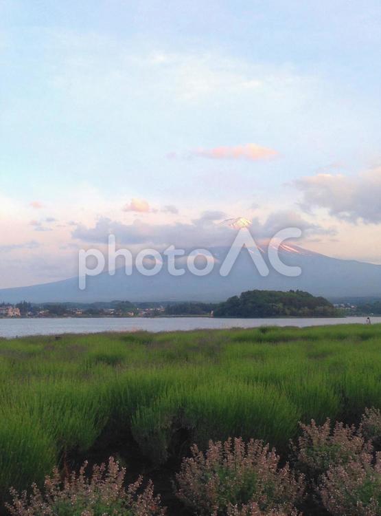 夕暮れの富士山 富士山,富士,ふじさんの写真素材