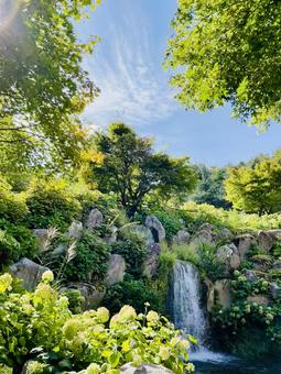 山中湖✴︎花の都公園 山中湖✴︎花の都公園の写真