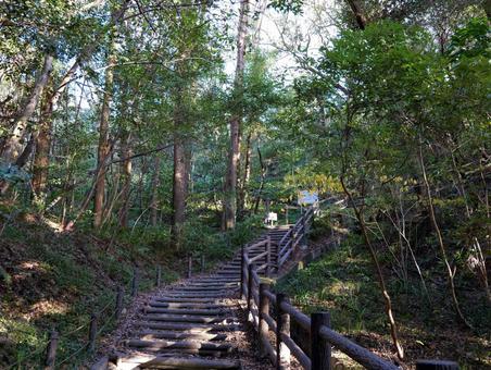 山登り 山登り,ハイキング,山中の写真素材