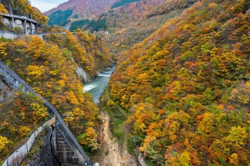 鳴子ダムの紅葉⑾ 秋,紅葉,山の写真素材