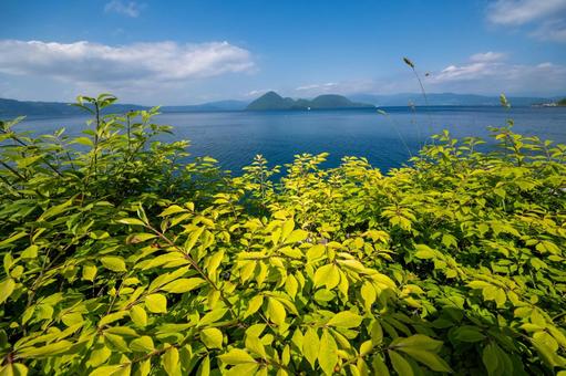 鮮やかな湖畔の草と夏の洞爺湖 鮮やかな湖畔の草と夏の洞爺湖の写真