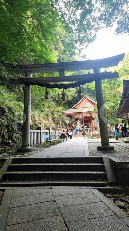 長い階段を上った先の鳥居 金刀比羅宮,神社,階段の写真素材