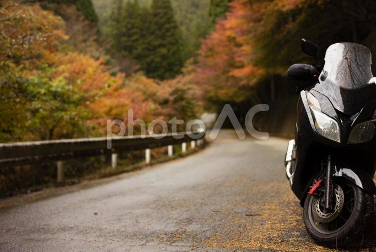 紅葉とバイクのある風景 バイク,スクーター,ビッグスクーターの写真素材