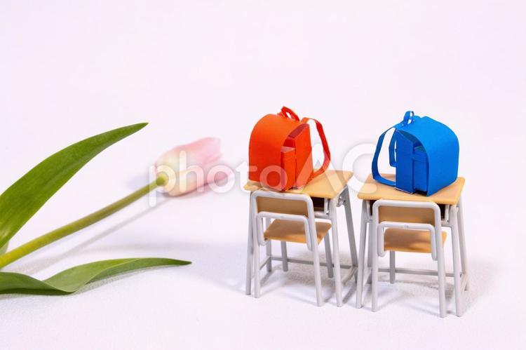 ミニチュアランドセルと学校机と春の花 学校机,ランドセル,ミニチュアの写真素材