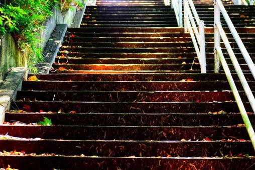 夏の日の階段 夏の日の階段の写真