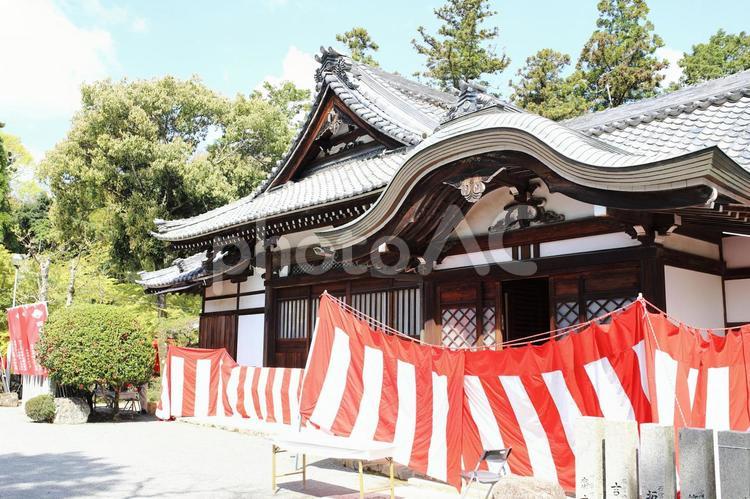 多田神社　川西　源氏まつり　 多田神社,多田,神社の写真素材
