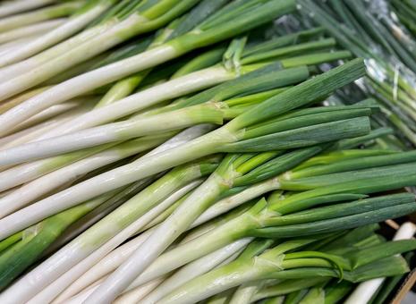 食材・野菜【長ネギ】 食材・野菜【長ネギ】の写真