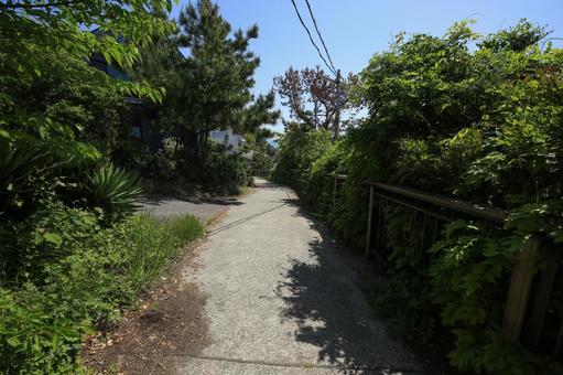 兵庫県赤穂市 赤穂御崎遊歩道 兵庫県赤穂市 赤穂御崎遊歩道の写真