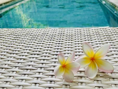 Pool and plumeria, JPG Pool and plumeria, JPG