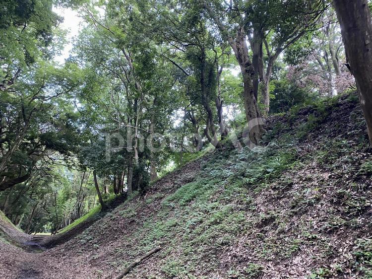 小田原城小峯御鐘ノ台大堀切 小田原城,小峯御鐘ノ台大堀切,城跡の写真素材