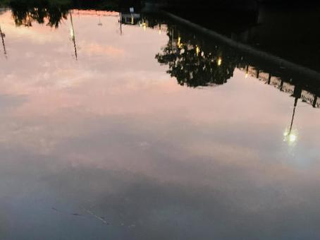 Photo, জল পৃষ্ঠ, প্রতিফলন, সকাল ভাস, 