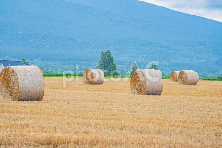 富良野の夏の風景 景色,hokkaido,北海道の写真素材