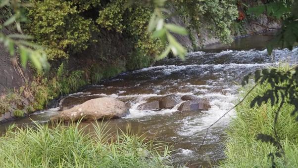 川 自然,風景,景色の写真素材