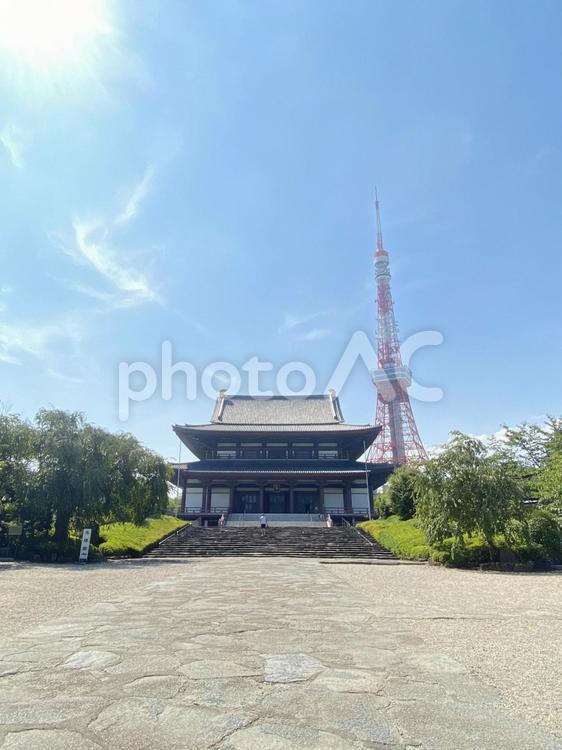 増上寺と東京タワー 増上寺,東京タワー,晴天の写真素材