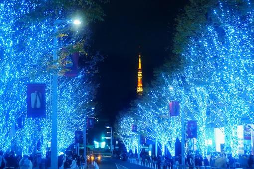 東京タワーとイルミネーションの写真