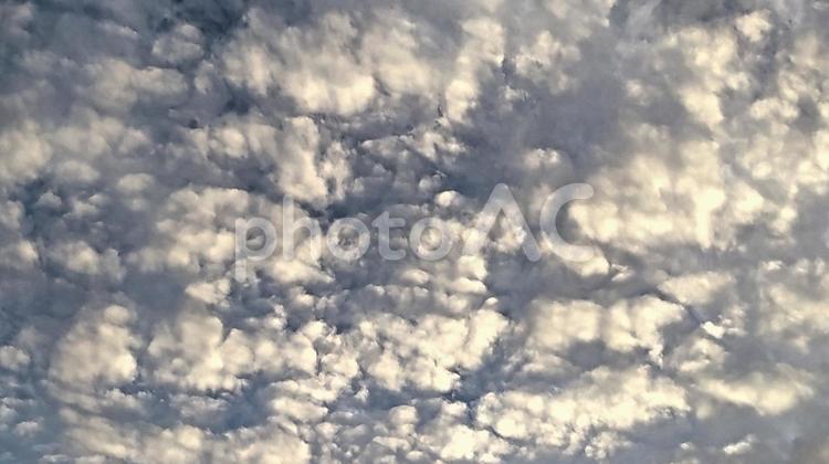 夕暮れ うろこ,空,白の写真素材