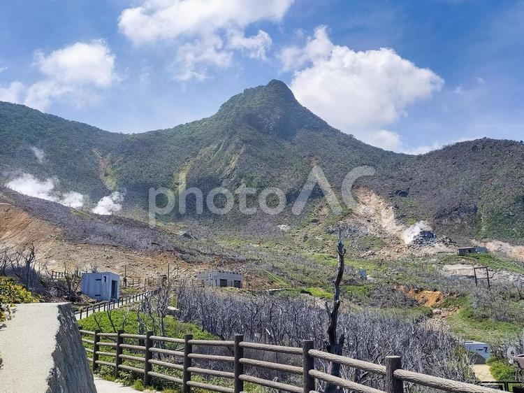 箱根大涌谷の遊歩道から眺める冠ヶ岳 箱根ロープウェイ,冠ヶ岳,大涌谷の写真素材