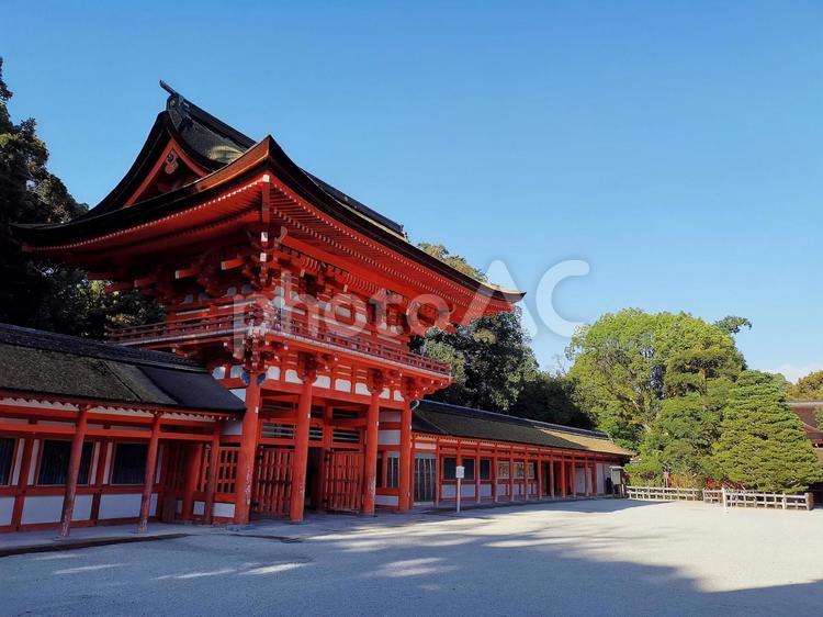 京都　下鴨神社　賀茂御祖神社　楼門 京都,下鴨神社,賀茂御祖神社の写真素材