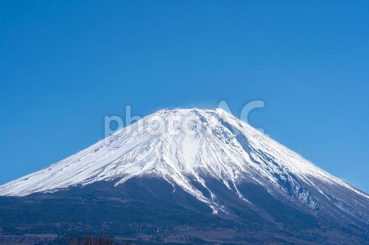 静岡側から見た富士山 富士山,山,静岡の写真素材