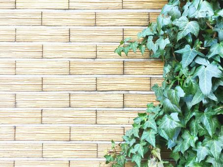 石壁と葉っぱの背景素材の写真