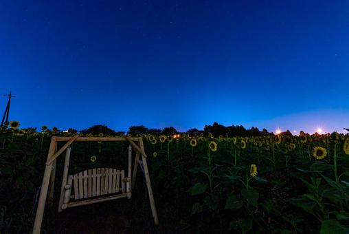 星と座間のひまわりとブランコの写真