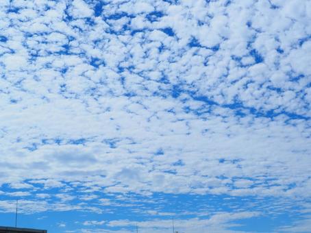 Photo, cloud, high cumulus cloud, iwaki cloud, 