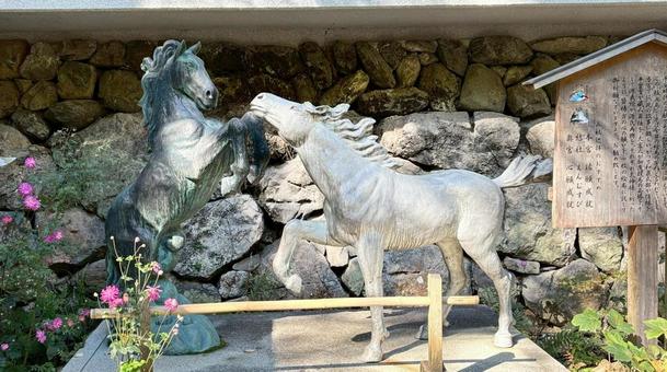貴船の神馬 貴船神社,神馬,馬の写真素材
