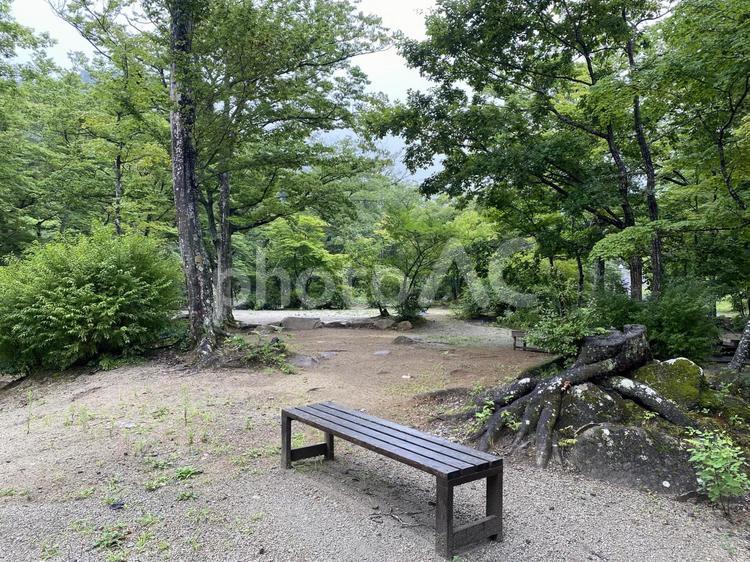 ベンチのある緑の公園（キャンプ場）ヨコ キャンプ,キャンプ場,ベンチの写真素材