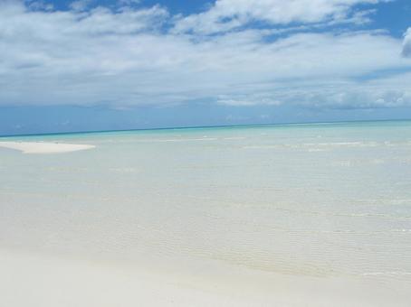 心洗われる瞬間の写真